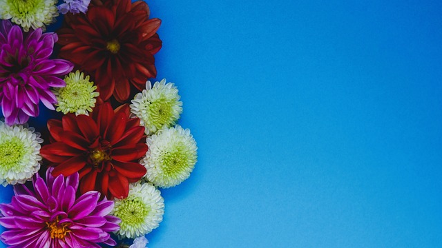 一定的下课 一定的下课