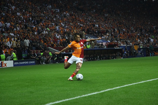 如何选择成 如何选择成