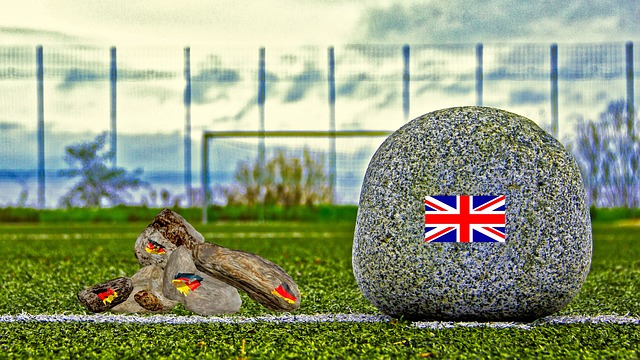 这一改革将 这一改革将