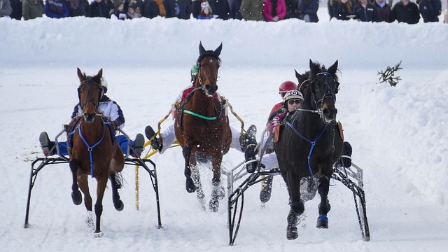 东契奇怒喷雷迪克，湖人正式爆发内讧，詹姆斯劝架也被推开.