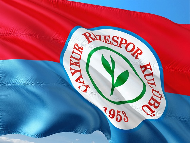 期的成功 期的成功